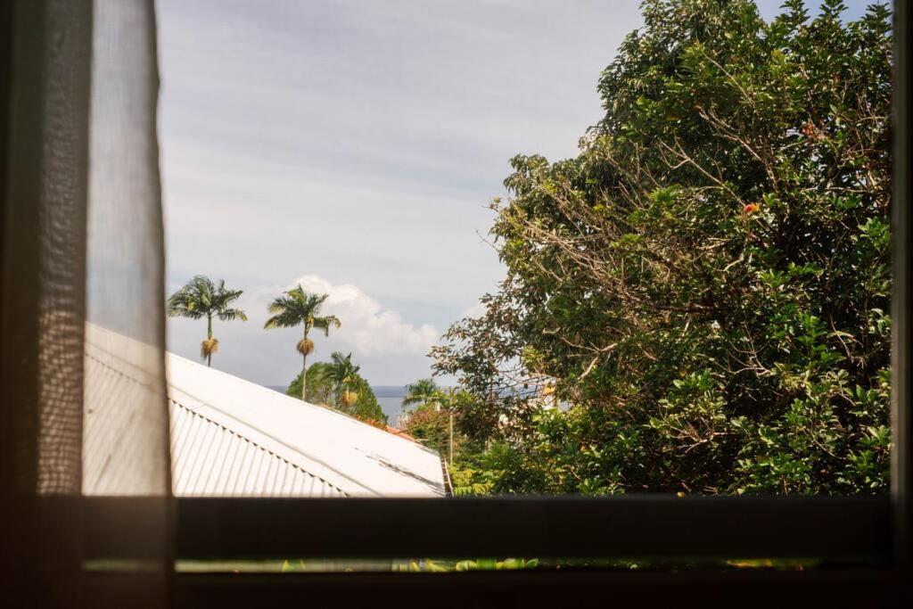 New Paddler'S Inn- 3Br Hilo Downtown المظهر الخارجي الصورة